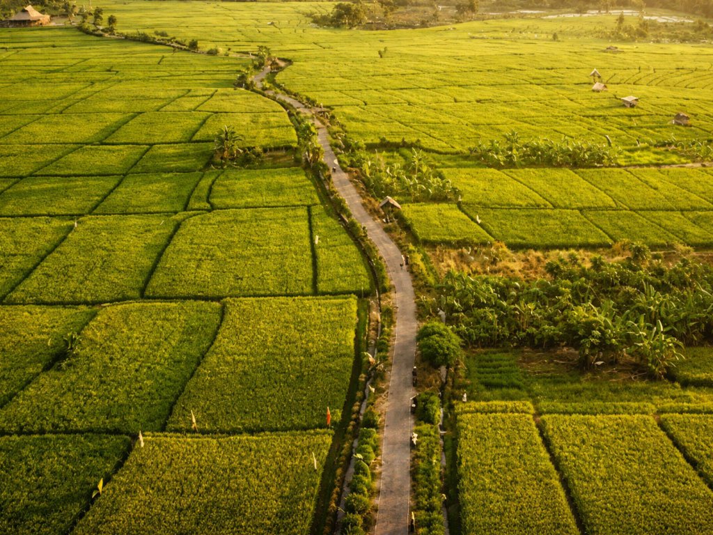 Explore Canggu di Jogging Track Subak Uma Desa
