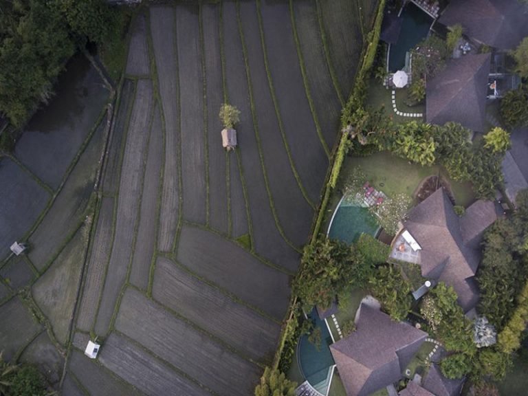 Sewa villa private pool di Bali - Artful 6BR Villa in Kerobokan – Rice Field Views, Jacuzzi Bathrooms, Private Pool – BVI5204