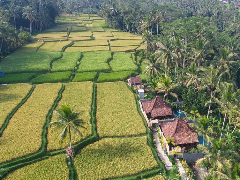 Sewa villa private pool di Bali - Romantic 1-Bedroom Ubud Villa with Outdoor Bath & Private Pool Among the Rice Fields – BVI26476