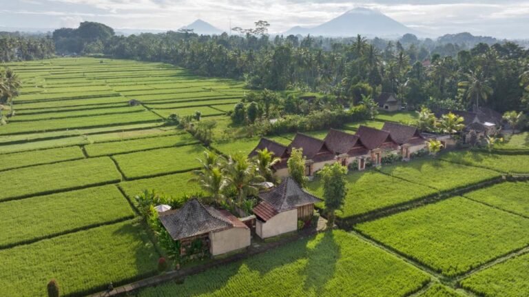 Sewa villa private pool di Bali - Romantic 1BR Rice Field Villa with Private Pool – Near Ubud –  BVI50044