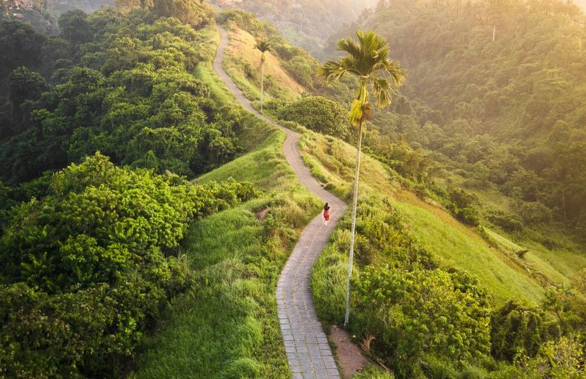 Menikmati-Keindahan-Alam-di-Bukit-Campuhan-Ubud