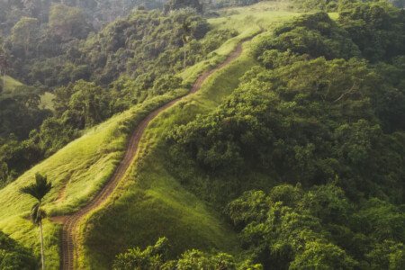 Menikmati-Keindahan-Alam-di-Bukit-Campuhan-Ubud