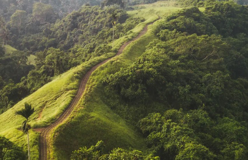 Menikmati-Keindahan-Alam-di-Bukit-Campuhan-Ubud