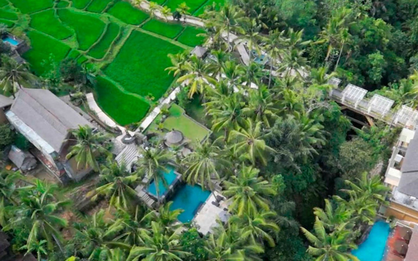 Wapa di Ume Ubud