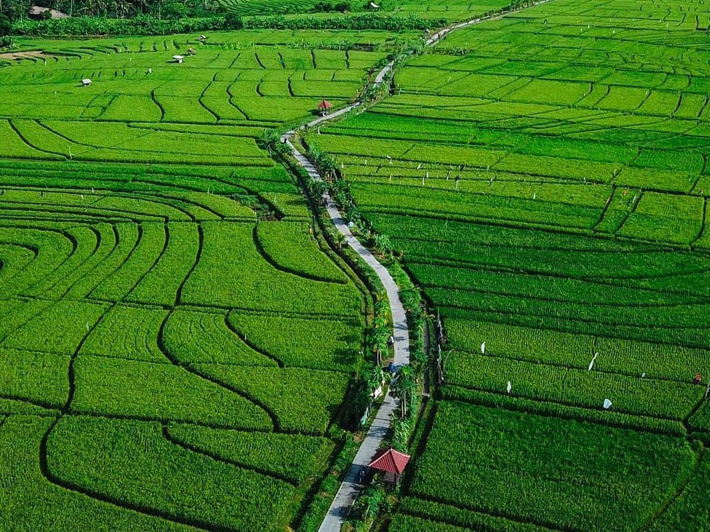 Canggu