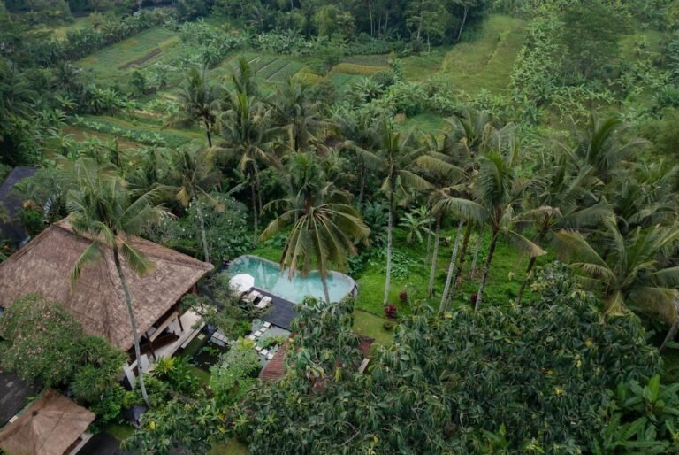 Sewa villa private pool di Bali - Villa 3 Kamar Tidur Tenang di Kedewatan Ubud dengan Infinity Pool – BVI70597